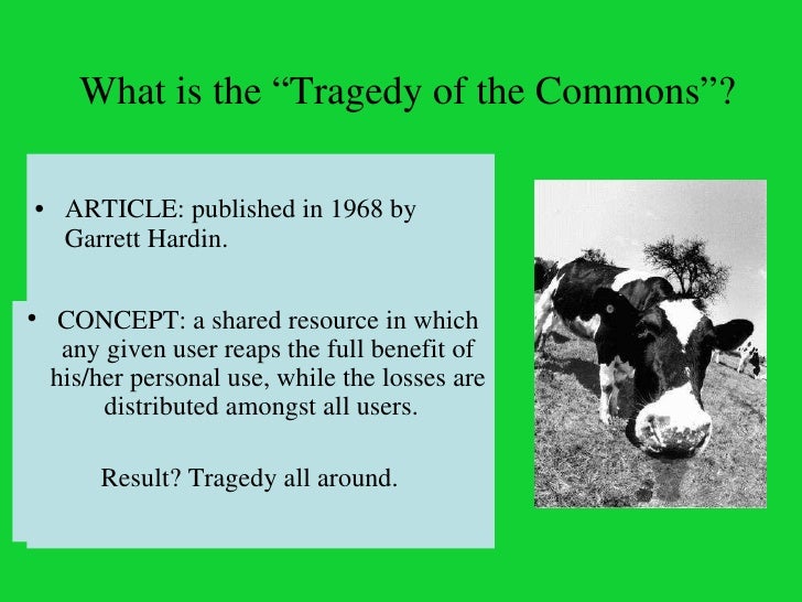 Tragedy of the commons essay garrett hardin