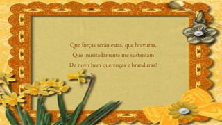 Que forças serão estas, que bravuras,
Que inusitadamente me sustentam
De novo bem querenças e branduras?
 