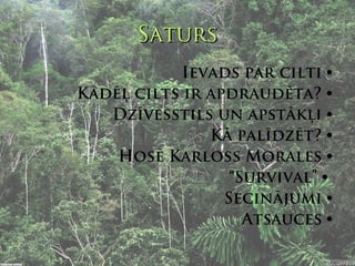 Saturs
            Ievads par cilti 
Kādēļ cilts ir apdraudēta? 
   Dzīvesstils un apstākļi 
               Kā palīdzēt? 
    Hosē Karloss Morales 
                  “Survival” 
                 Secinājumi 
                    Atsauces 
 