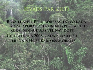 Ievads par cilti

Brazīlijā, pie Peru robežas, dzīvo kāda
 maza, apdraudēta un neizpētīta cilts,
 kurai nosaukums vēl nav dots.
Cilti atklāja 2008. gadā brazīliešu
 ierēdnis Hosē Karloss Morales.
 