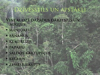 Dzīvesstils un apstākļi
Viņi audzē dažādus dārzeņus un
  augļus:
 manioku
 banānus
 kukurūzu
 papaiju
 saldos kartupeļus
 ķirbjus
 zemesriekstus
 