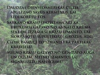Daudzas dienvidamerikas ciltis
  apglezno savus ķermeņus, lai
  izdekorētu tos.
Sarkano krāsu (pazīstama arī kā
  urukums) gatavo no annato krūma
  sēklām. Iezemieši krāsu izmanto, lai
  nokrāsotu šūpuļtīklus, grozus, ādu.
Citur pasaulē to izmanto kā pārtikas
  krāsvielu.
Melno krāsu gatavo no genipapo auga
  un oglēm. Melno izmanto, lai
  signalizētu naidīgumu.
 