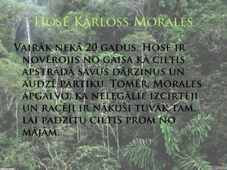 Hosē Karloss Morales
Vairāk nekā 20 gadus, Hosē ir
 novērojis no gaisa kā ciltis
 apstrādā savus dārziņus un
 audzē pārtiku. Tomēr, Morales
 apgalvo, ka nelegālie izcirtēji
 un racēji ir nākuši tuvāk tam,
 lai padzītu ciltis prom no
 mājām.
 