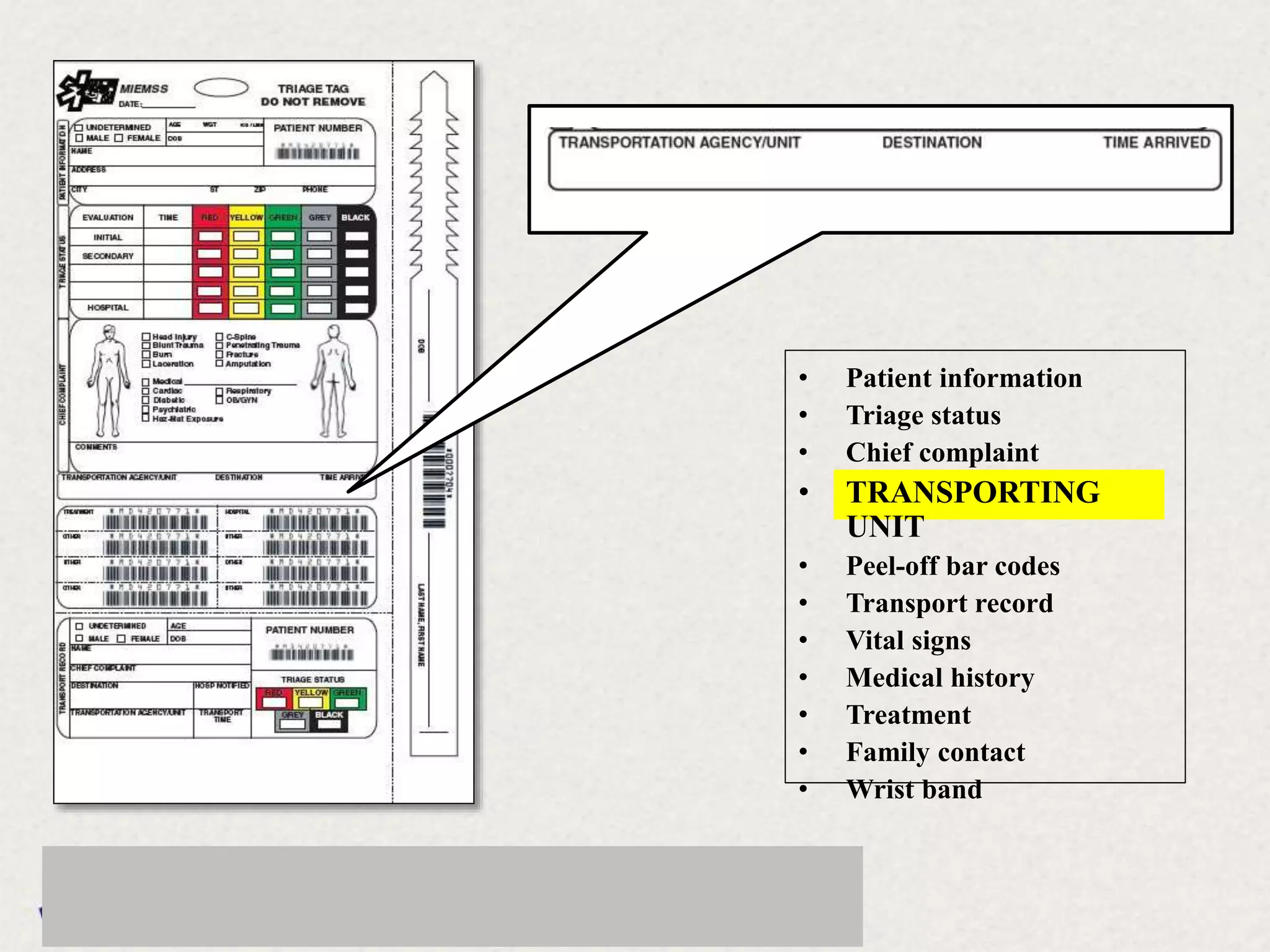 • Patient information
• Triage status
• Chief complaint
• TRANSPORTING
UNIT
• Peel-off bar codes
• Transport record
• Vital signs
• Medical history
• Treatment
• Family contact
• Wrist band
 
