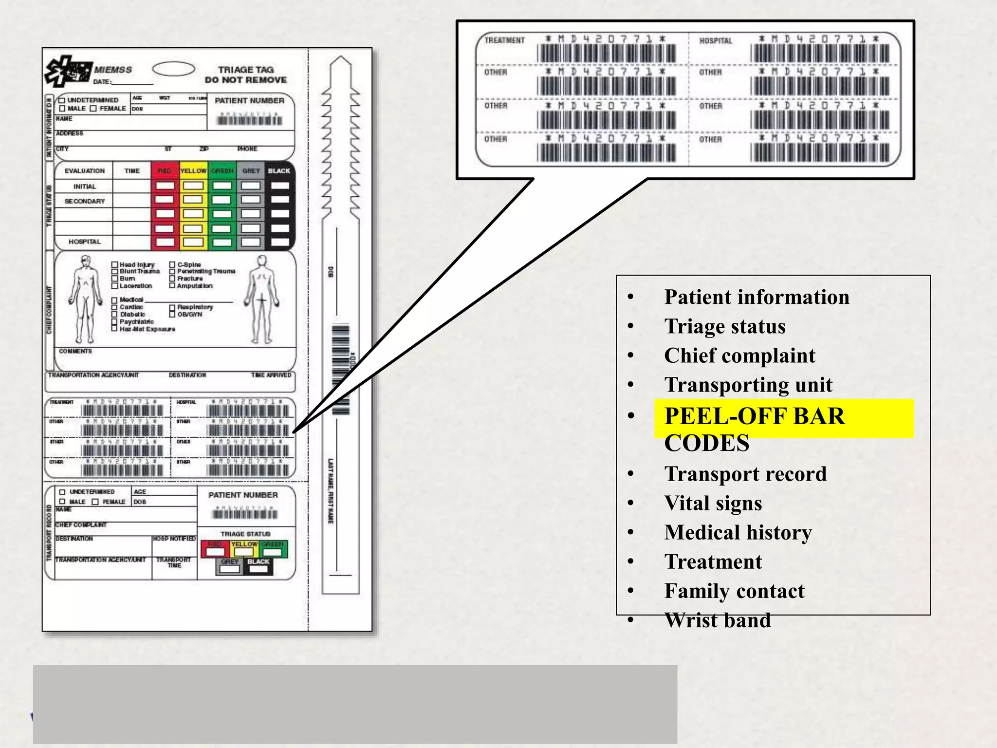 • Patient information
• Triage status
• Chief complaint
• Transporting unit
• PEEL-OFF BAR
CODES
• Transport record
• Vital signs
• Medical history
• Treatment
• Family contact
• Wrist band
 