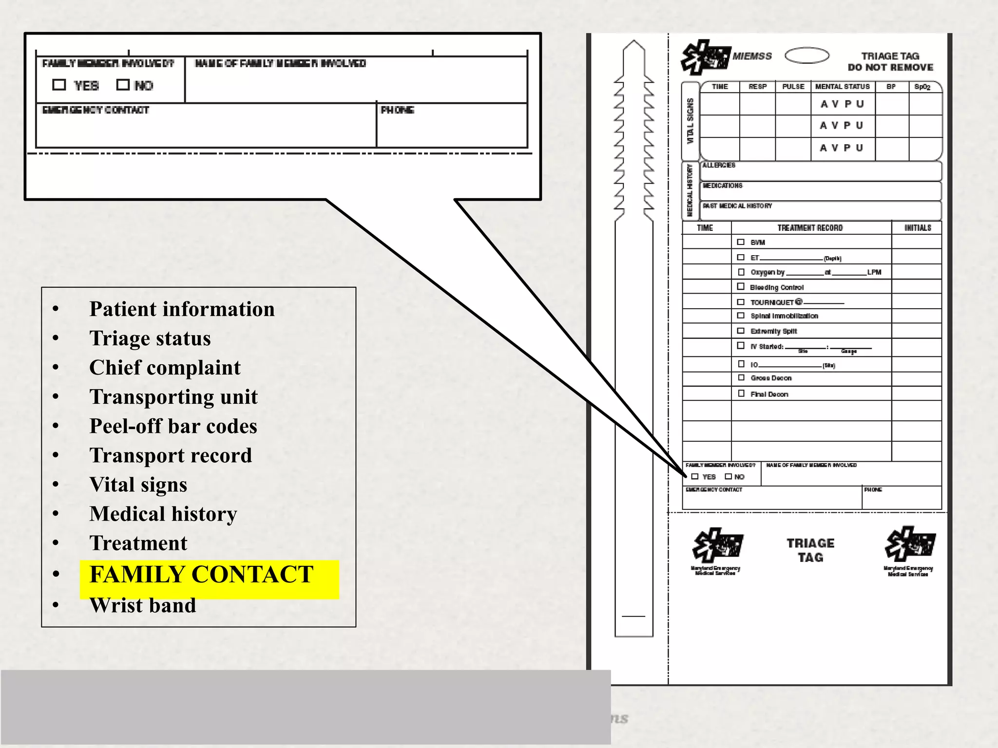 • Patient information
• Triage status
• Chief complaint
• Transporting unit
• Peel-off bar codes
• Transport record
• Vital signs
• Medical history
• Treatment
• FAMILY CONTACT
• Wrist band
 