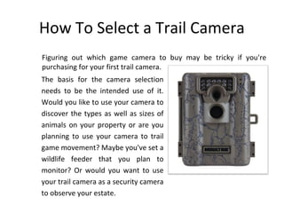 trail camera buying guide