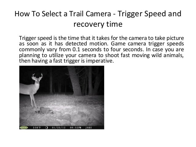 trail camera buying guide