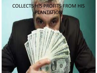 COLLECTS HIS PROFITS FROM HIS
PLANTATION
 