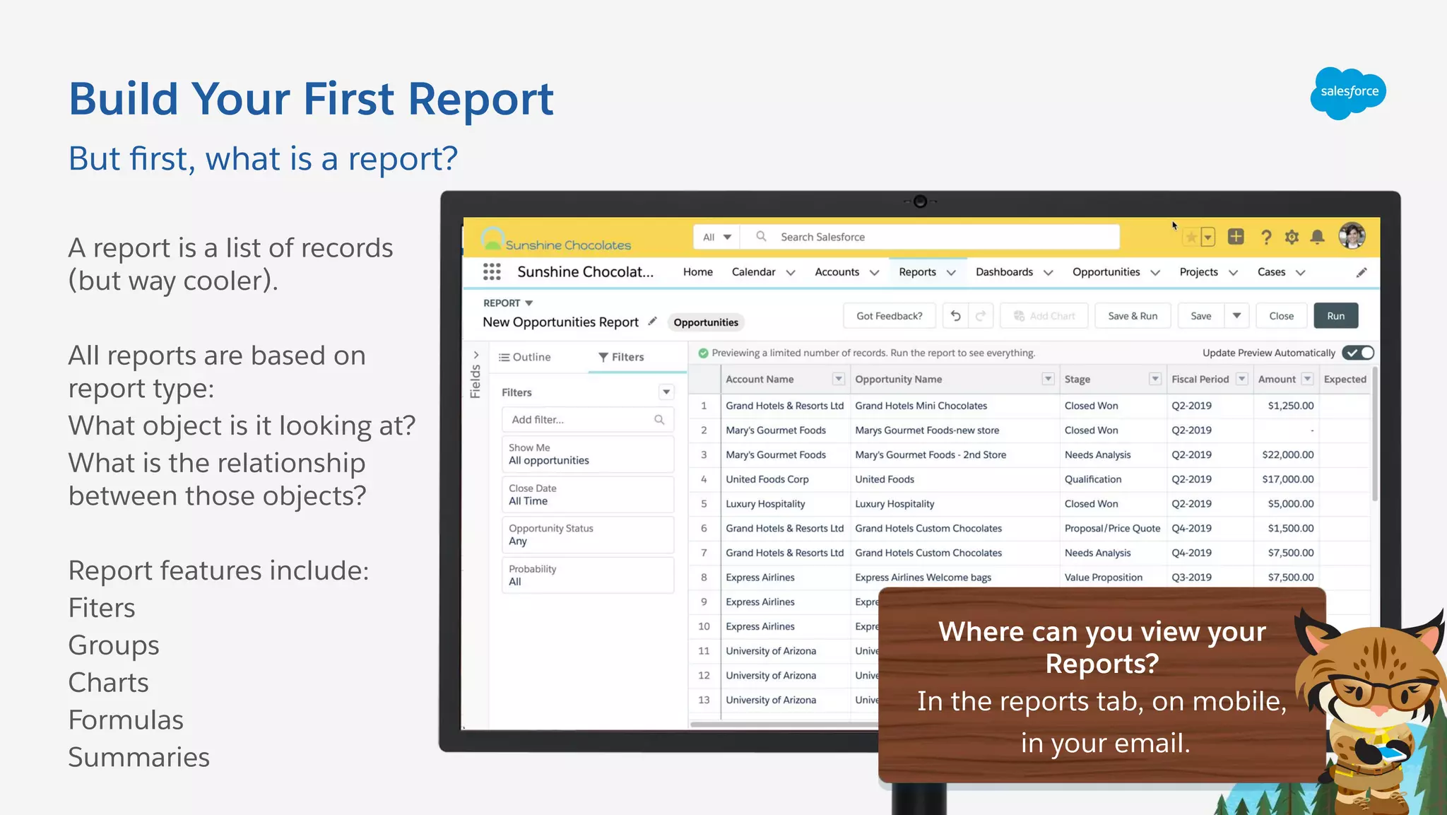 Build Your First Report
A report is a list of records
(but way cooler).
All reports are based on
report type:
What object is it looking at?
What is the relationship
between those objects?
Report features include:
Fiters
Groups
Charts
Formulas
Summaries
But ﬁrst, what is a report?
Where can you view your
Reports?
In the reports tab, on mobile,
in your email.
 