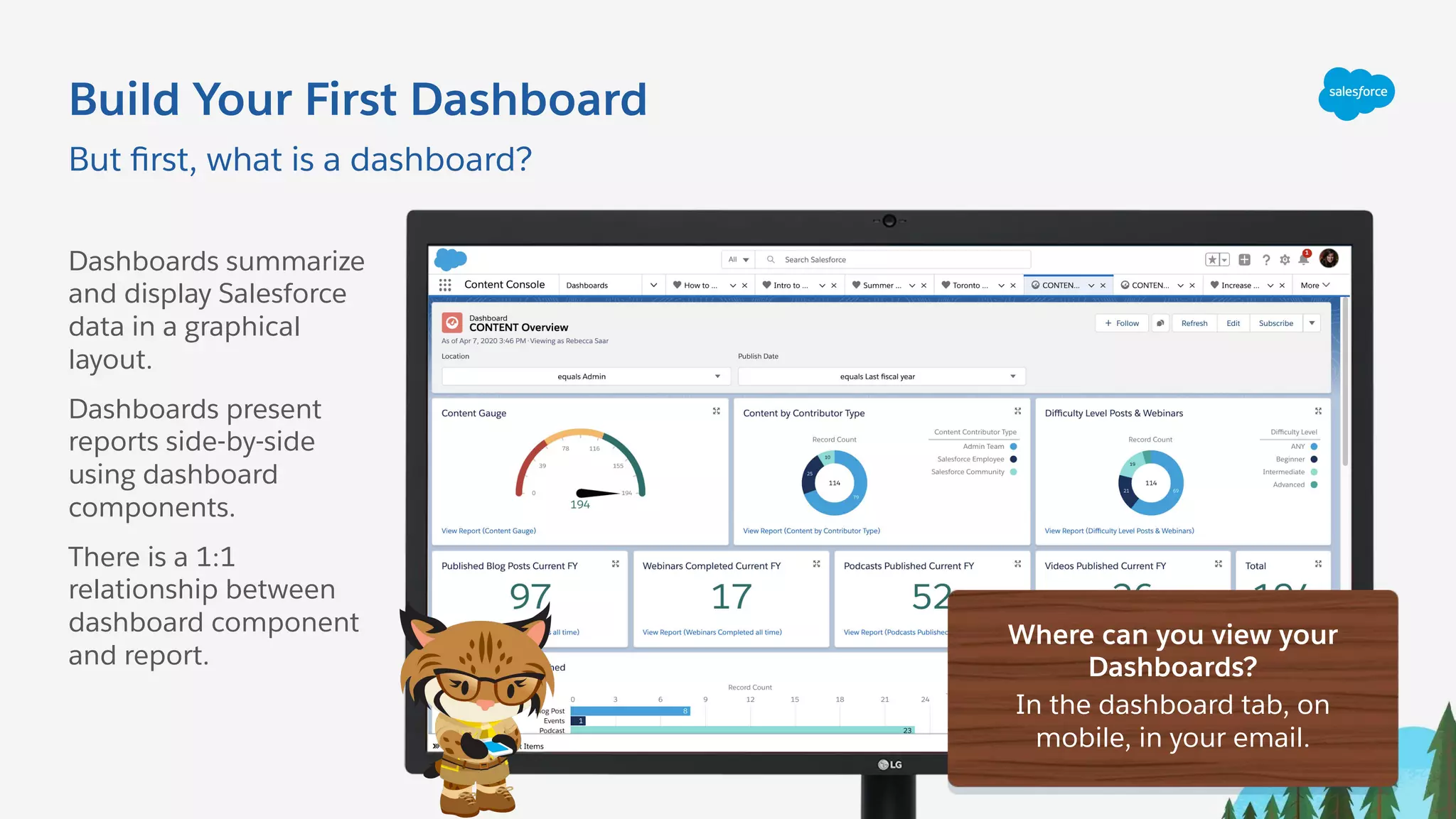 Build Your First Dashboard
Dashboards summarize
and display Salesforce
data in a graphical
layout.
Dashboards present
reports side-by-side
using dashboard
components.
There is a 1:1
relationship between
dashboard component
and report.
But ﬁrst, what is a dashboard?
Where can you view your
Dashboards?
In the dashboard tab, on
mobile, in your email.
 