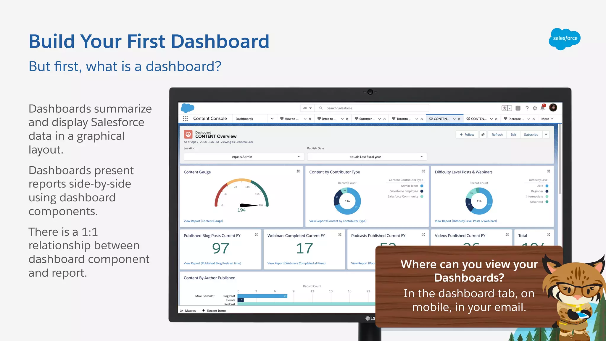 Build Your First Dashboard
Dashboards summarize
and display Salesforce
data in a graphical
layout.
Dashboards present
reports side-by-side
using dashboard
components.
There is a 1:1
relationship between
dashboard component
and report.
But ﬁrst, what is a dashboard?
Where can you view your
Dashboards?
In the dashboard tab, on
mobile, in your email.
 