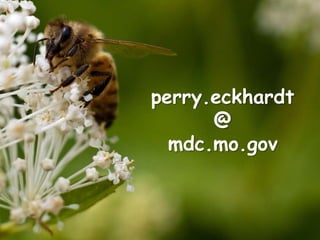 perry.eckhardt
      @
  mdc.mo.gov
 