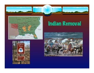 Indian Removal
 