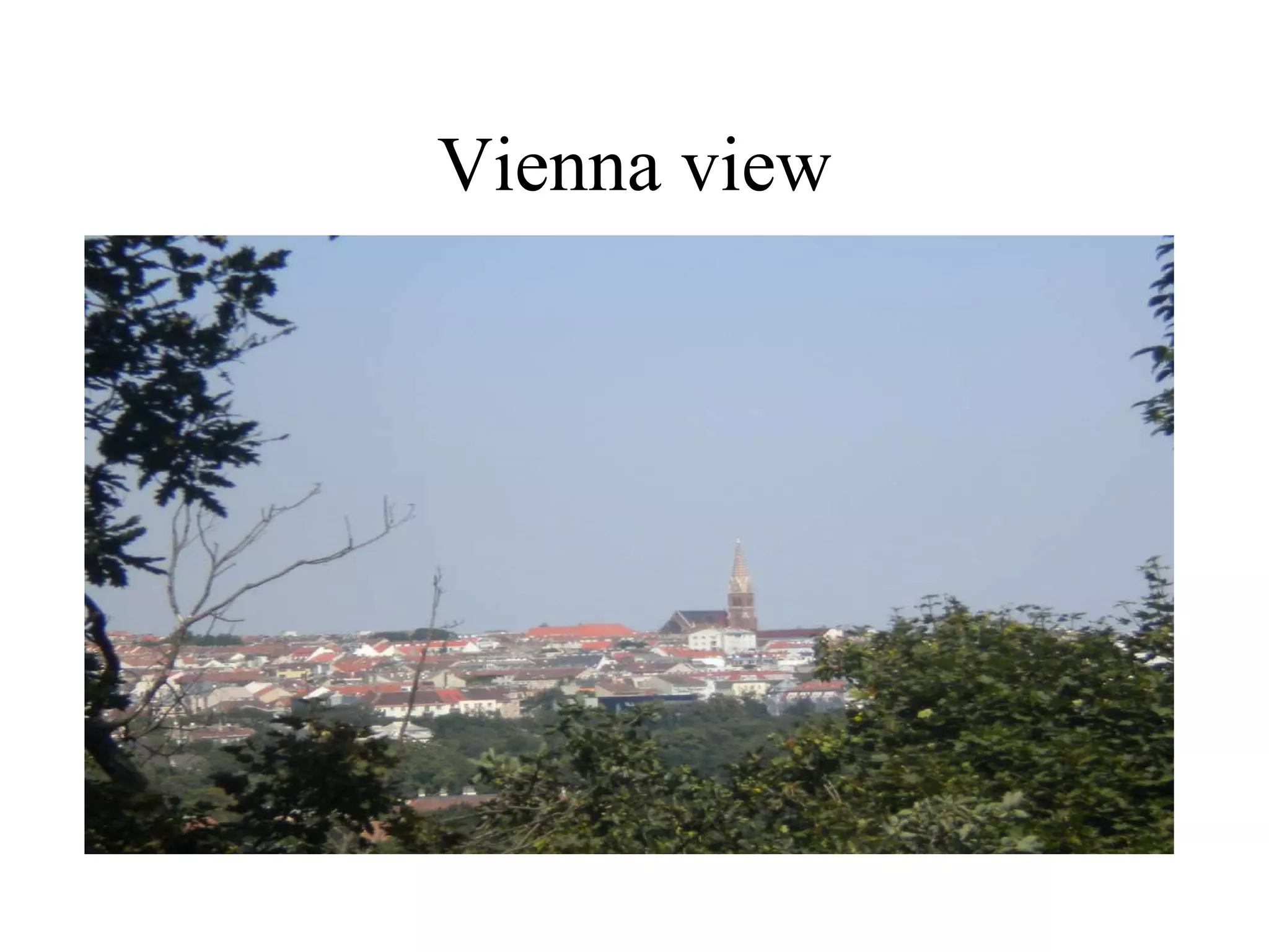 Vienna view 