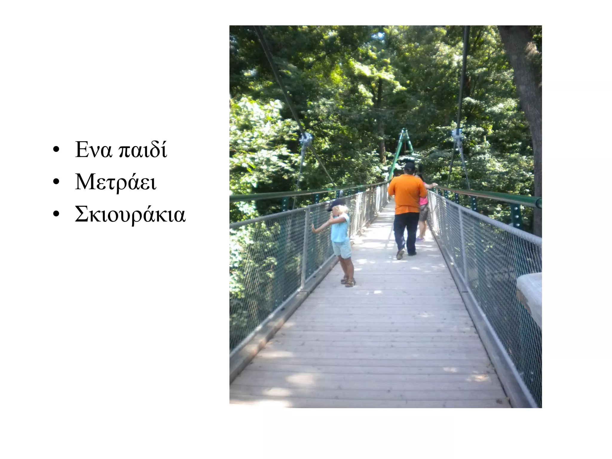 Ενα παιδί Μετράει Σκιουράκια 