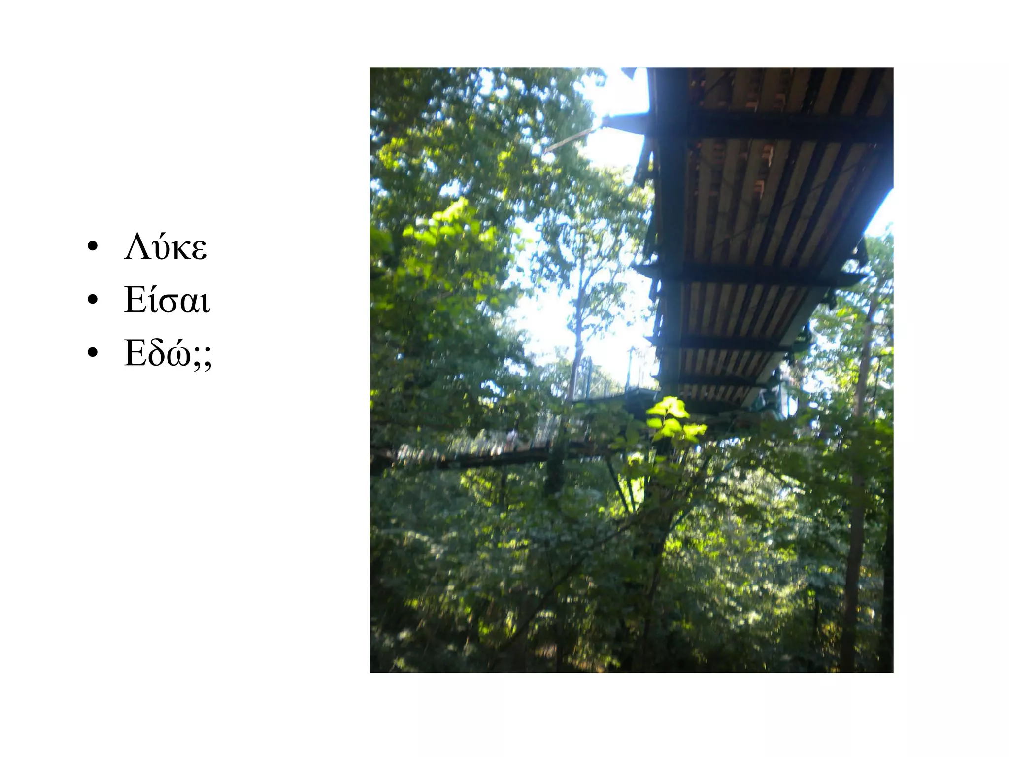 Λύκε Είσαι Εδώ;; 