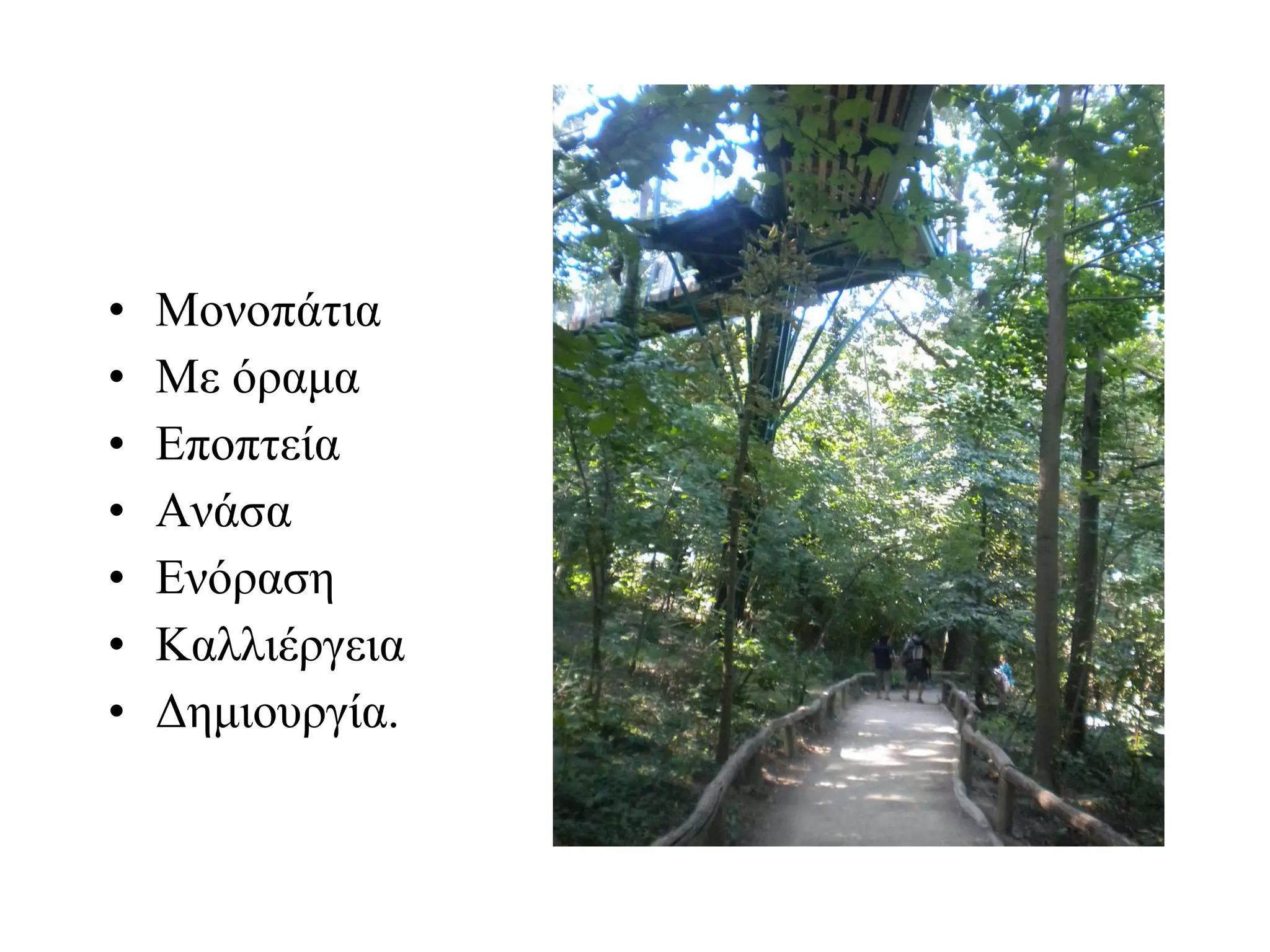 Μονοπάτια  Με όραμα Εποπτεία Ανάσα Ενόραση Καλλιέργεια Δημιουργία. 