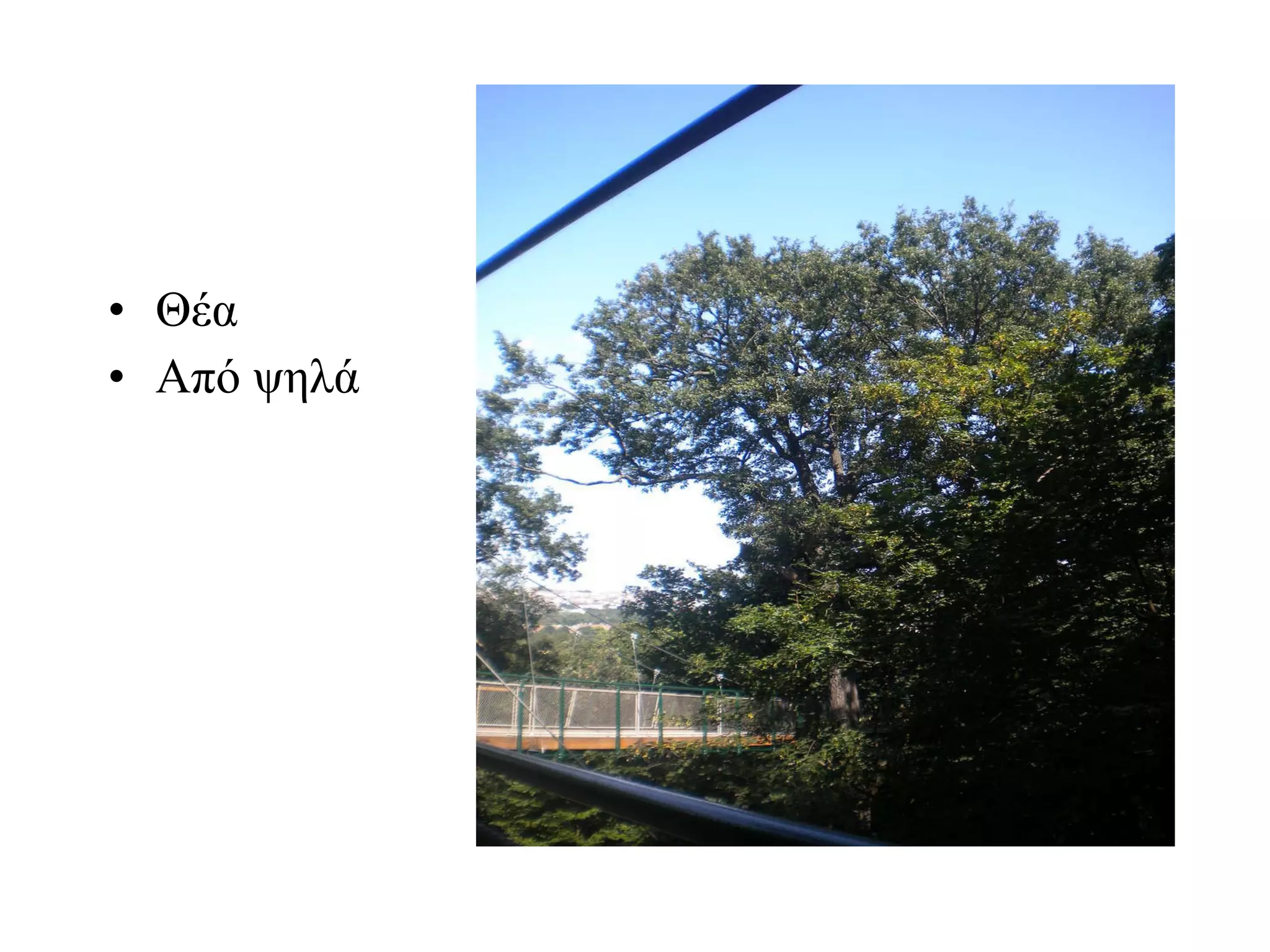 Θέα Από ψηλά 