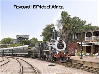 Rovos rail – Pride of Africa 