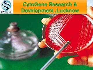 CytoGene Research &
Development ,Lucknow
 