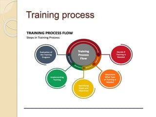 trainind and developmnt programme .pptx