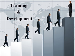 Training  &  Development 
