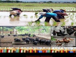 Free powerpoint template: www.brainybetty.com
4
 