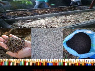 Free powerpoint template: www.brainybetty.com
5
 