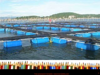 Free powerpoint template: www.brainybetty.com
6
 