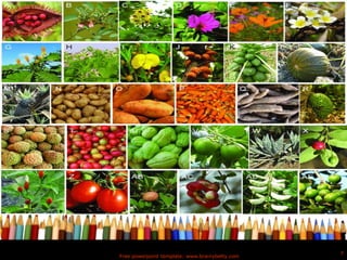 Free powerpoint template: www.brainybetty.com
7
 