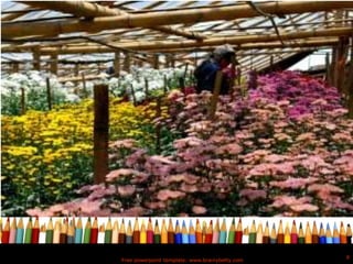 Free powerpoint template: www.brainybetty.com
8
 