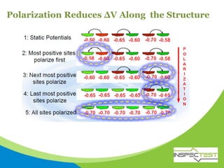 Polarization Reduces ΔV Along the Structure
 