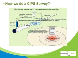 How we do a CIPS Survey?
 