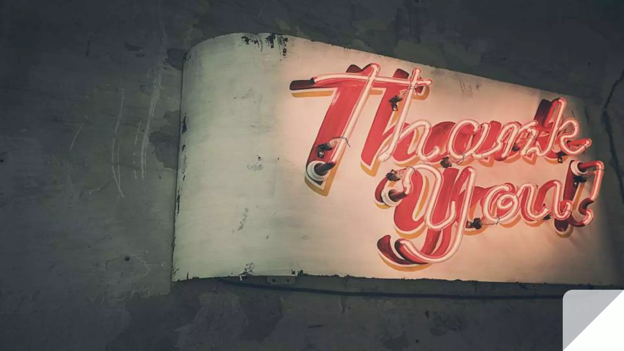 ppt of web development for diploma student 