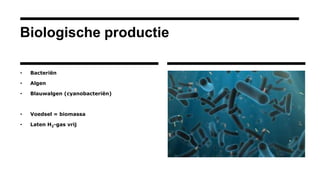 Biologische productie
• Bacteriën
• Algen
• Blauwalgen (cyanobacteriën)
• Voedsel = biomassa
• Laten H2-gas vrij
 