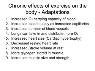 Chronic effects of exercise on the body - AdaptationsIncreased O2 carrying capacity of bloodIncreased blood supply as increased capillariesIncreased number of blood vesselsLungs can take in and distribute more O2Increased heart size (Cardiac hypertrophy)Decreased resting heart rateIncreased Stroke volume at restMore glycogen stored in muscleIncreased muscle size and strength