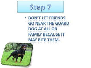 Training a guard dog