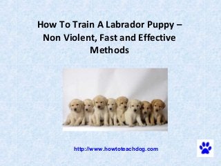 How To Train A Labrador Puppy –
 Non Violent, Fast and Effective
           Methods




                    




        http://www.howtoteachdog.com
 