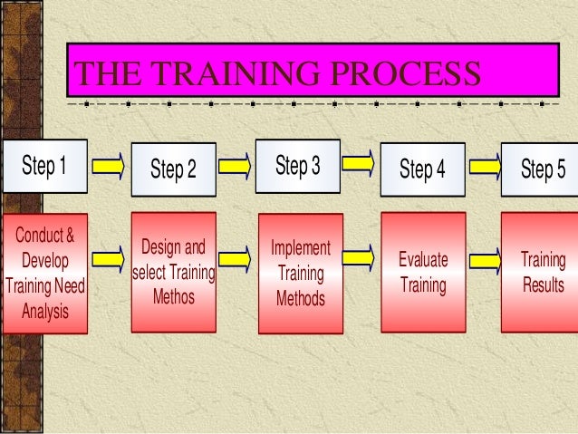 Training and development