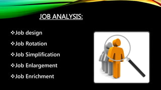 JOB ANALYSIS:
Job design
Job Rotation
Job Simplification
Job Enlargement
Job Enrichment
 