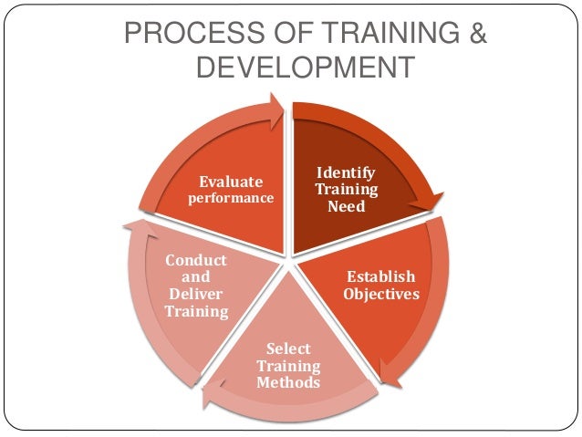 Training and development