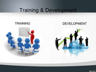 Training & Development
TRAINING DEVELOPMENT
 