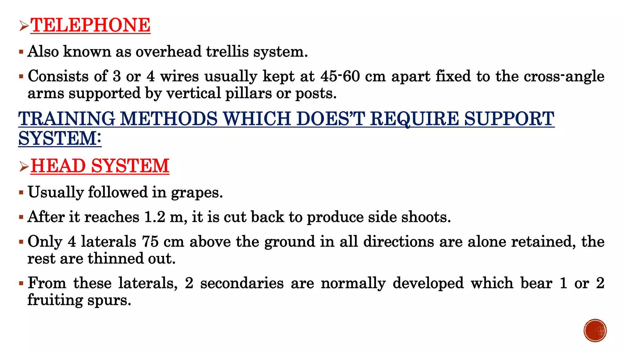 Geape Training Methods Training and pruning | PPTX
