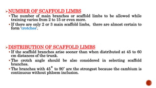 NUMBER OF SCAFFOLD LIMBS
 The number of main branches or scaffold limbs to be allowed while
training varies from 2 to 15 or even more.
 If there are only 2 or 3 main scaffold limbs, there are almost certain to
form ‘crotches’.
DISTRIBUTION OF SCAFFOLD LIMBS
 If the scaffold branches arise sooner than when distributed at 45 to 60
cm distances of the trunk.
 The crotch angle should be also considered in selecting scaffold
branches.
 The branches with 45˚ to 90˚ are the strongest because the cambium is
continuous without phloem inclusion.
 