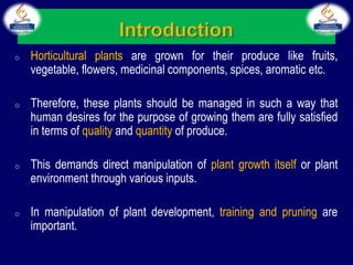 o Horticultural plants are grown for their produce like fruits,
vegetable, flowers, medicinal components, spices, aromatic etc.
o Therefore, these plants should be managed in such a way that
human desires for the purpose of growing them are fully satisfied
in terms of quality and quantity of produce.
o This demands direct manipulation of plant growth itself or plant
environment through various inputs.
o In manipulation of plant development, training and pruning are
important.
 