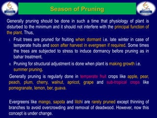Generally pruning should be done in such a time that physiology of plant is
disturbed to the minimum and it should not interfere with the principal function of
the plant. Thus,
I. Fruit trees are pruned for fruiting when dormant i.e. late winter in case of
temperate fruits and soon after harvest in evergreen if required. Some times
the trees are subjected to stress to induce dormancy before pruning as in
bahar treatment.
II. Pruning for structural adjustment is done when plant is making growth i.e.
summer pruning.
Generally pruning is regularly done in temperate fruit crops like apple, pear,
peach, plum, cherry, walnut, apricot, grape and sub-tropical crops like
pomegranate, lemon, ber, guava.
Evergreens like mango, sapota and litchi are rarely pruned except thinning of
branches to avoid overcrowding and removal of deadwood. However, now this
concept is under change.
 
