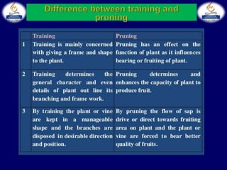 Training and Pruning  of Fruit Crops 
