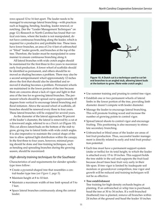 Training and pruning fruit trees | PDF