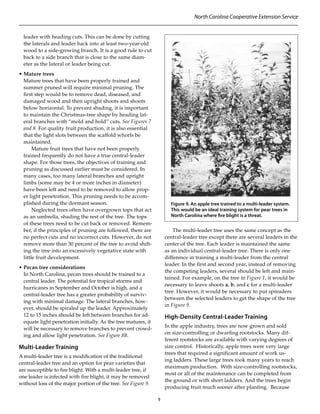 Training and pruning fruit trees | PDF